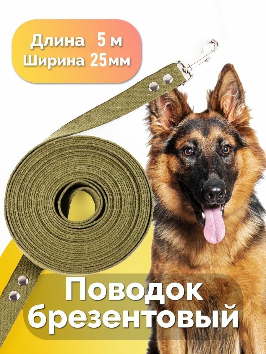 Поводок брезентовый для собак с вертлюгом для средних и крупных пород 25 мм*5 м (до 50 кг)
