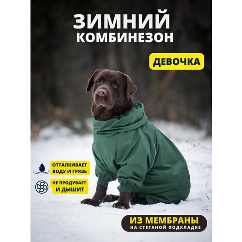 Комбинезон зимний для собак крупных пород SNOW plus, 60+ж (сука), авокадо, 5XL+