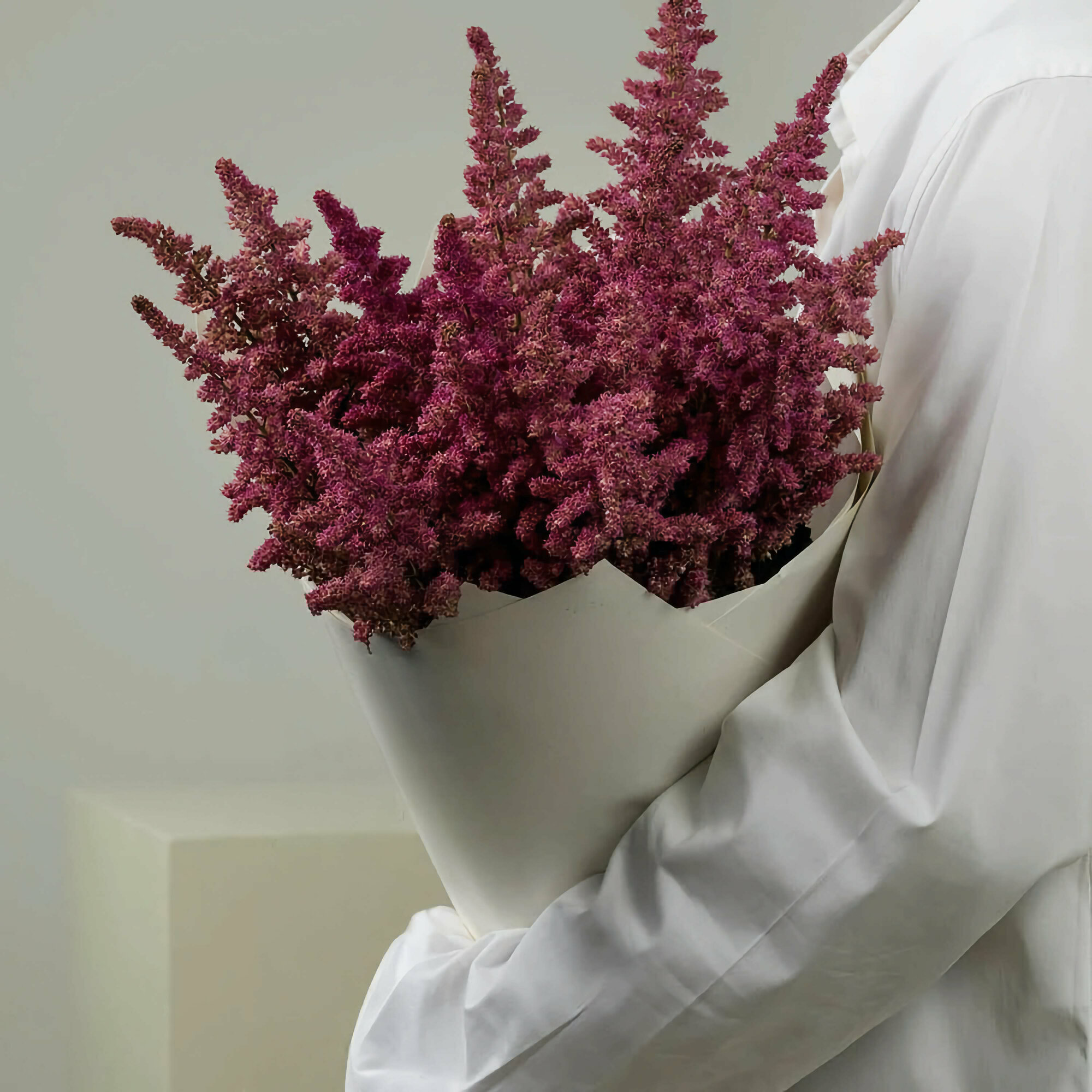 Букет из малиновых астильб (19 стеблей)