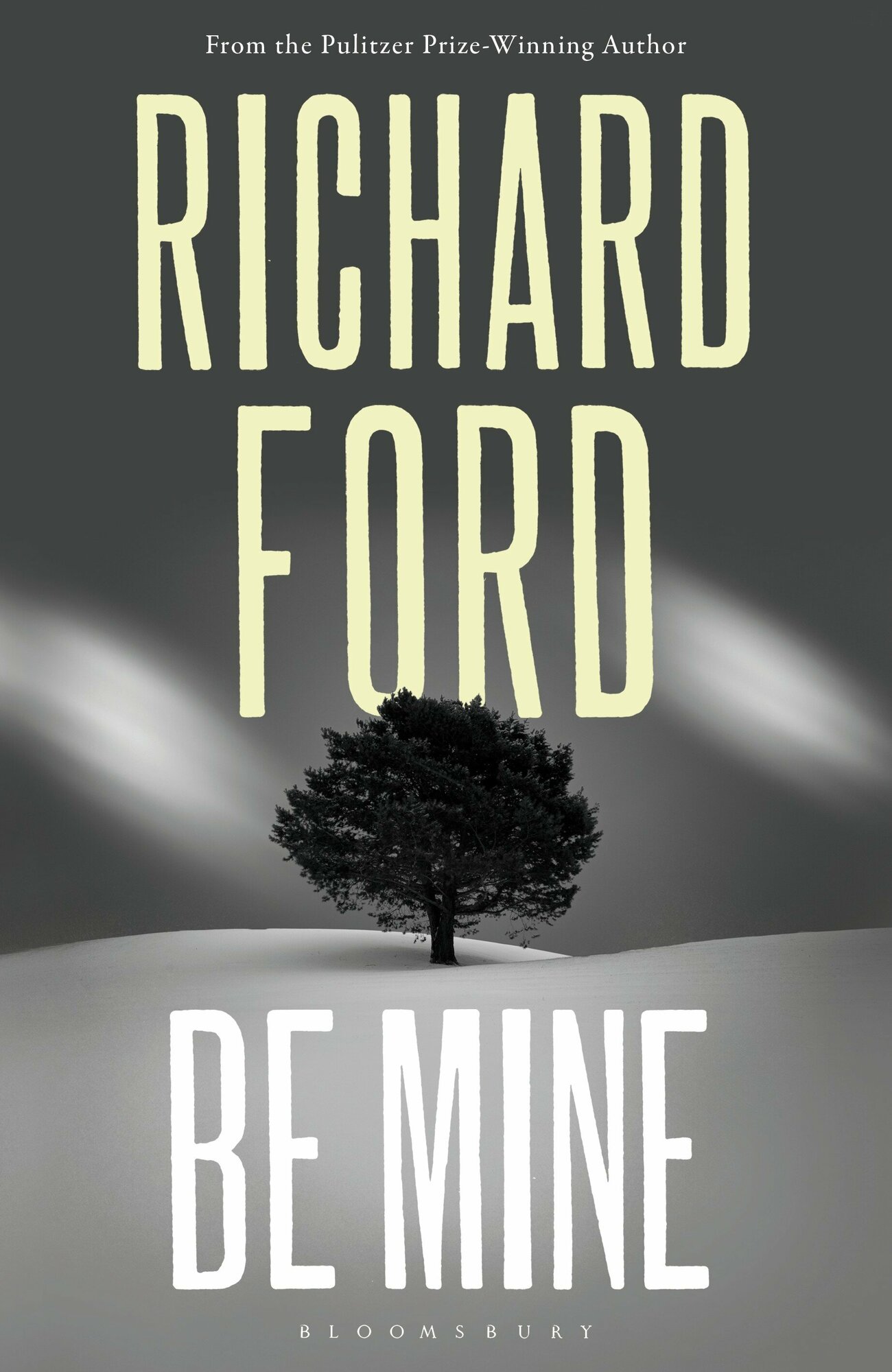 Be Mine (Ford Richard) - фото №1
