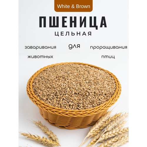 Пшеница для птиц и грызунов, 2 кг