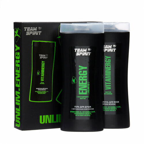 Подарочный набор мужской Team Spirit шампунь 250 мл гель для душа 250 мл 569₽