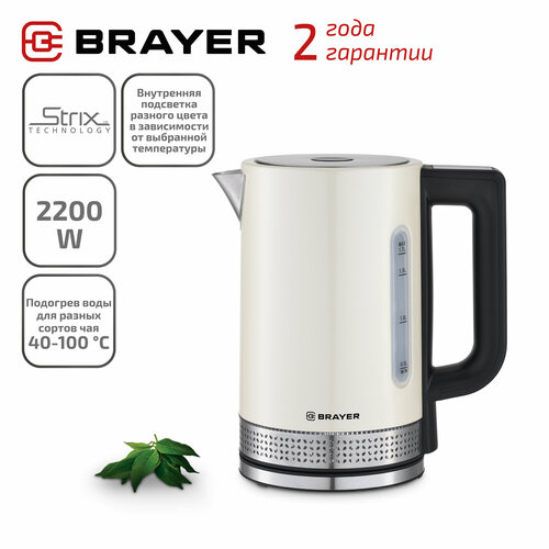 Чайник электрический BRAYER BR1068 429000₽