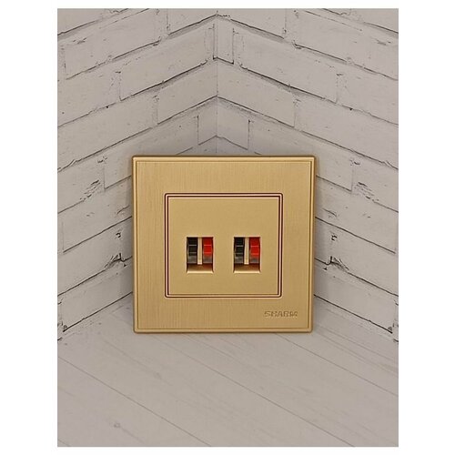 Аудио-розетка для динамиков цвета шампань 480