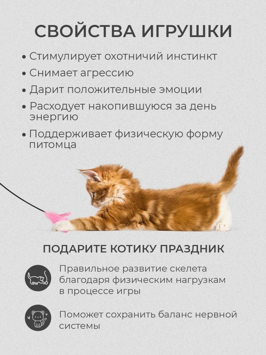 Игрушка дразнилка для кошек с перышком на липучке - фотография № 8