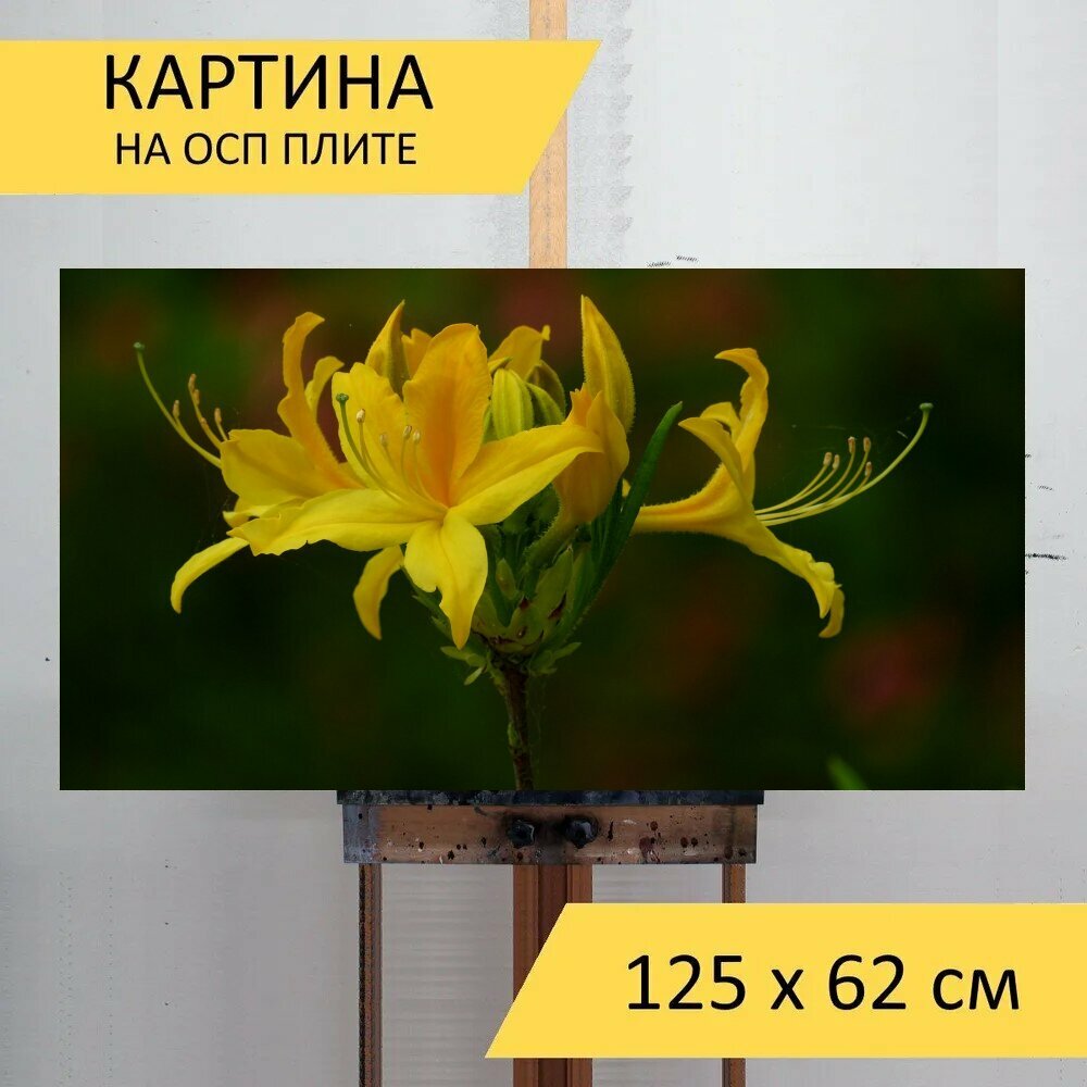 Картина на ОСП 125х62 см. 