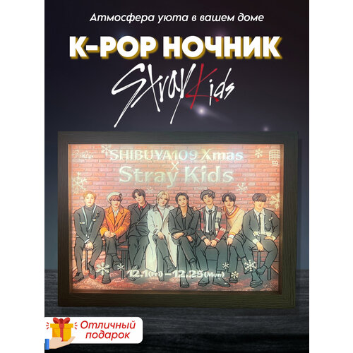 Светящаяся картина -15*20cm, USB-перезарядка, три режима освещения (stray kids)