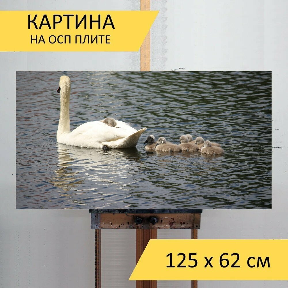 Картина на ОСП 125х62 см. "Лебедь, лебеди, водоплавающая птица" горизонтальная, для интерьера, с креплениями