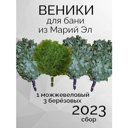 Комплект веников для бани, береза 3 штуки, можжевельник из Марий Эл веники для бани из марий эл отборные с ручкой из джута 3 штуки в коробке