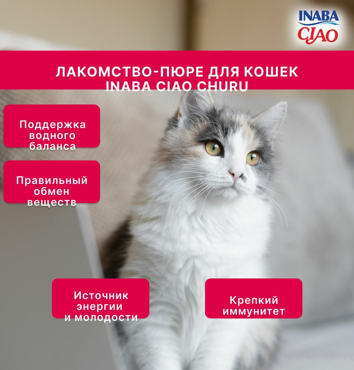 Лакомство-пюре для кошек Ciao Churu Куриное филе и кальмар 4шт*14г (упаковка 3 шт.) Inaba Petfood - фото №2