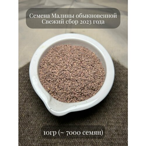 Семена Малины обыкновенной, медонос