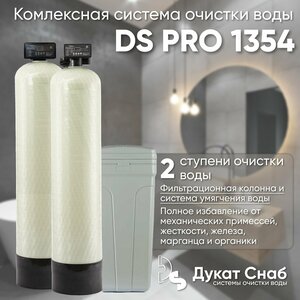 Комплексная система очистки воды для дома, дачи, коттеджа DS PRO 1354. Две колонны для умягчения воды, удаления жесткости, марганца, сероводорода, органики