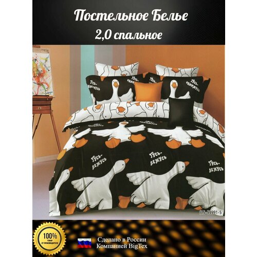 Постельное белье Гусь Обнимусь 2,0 спальное