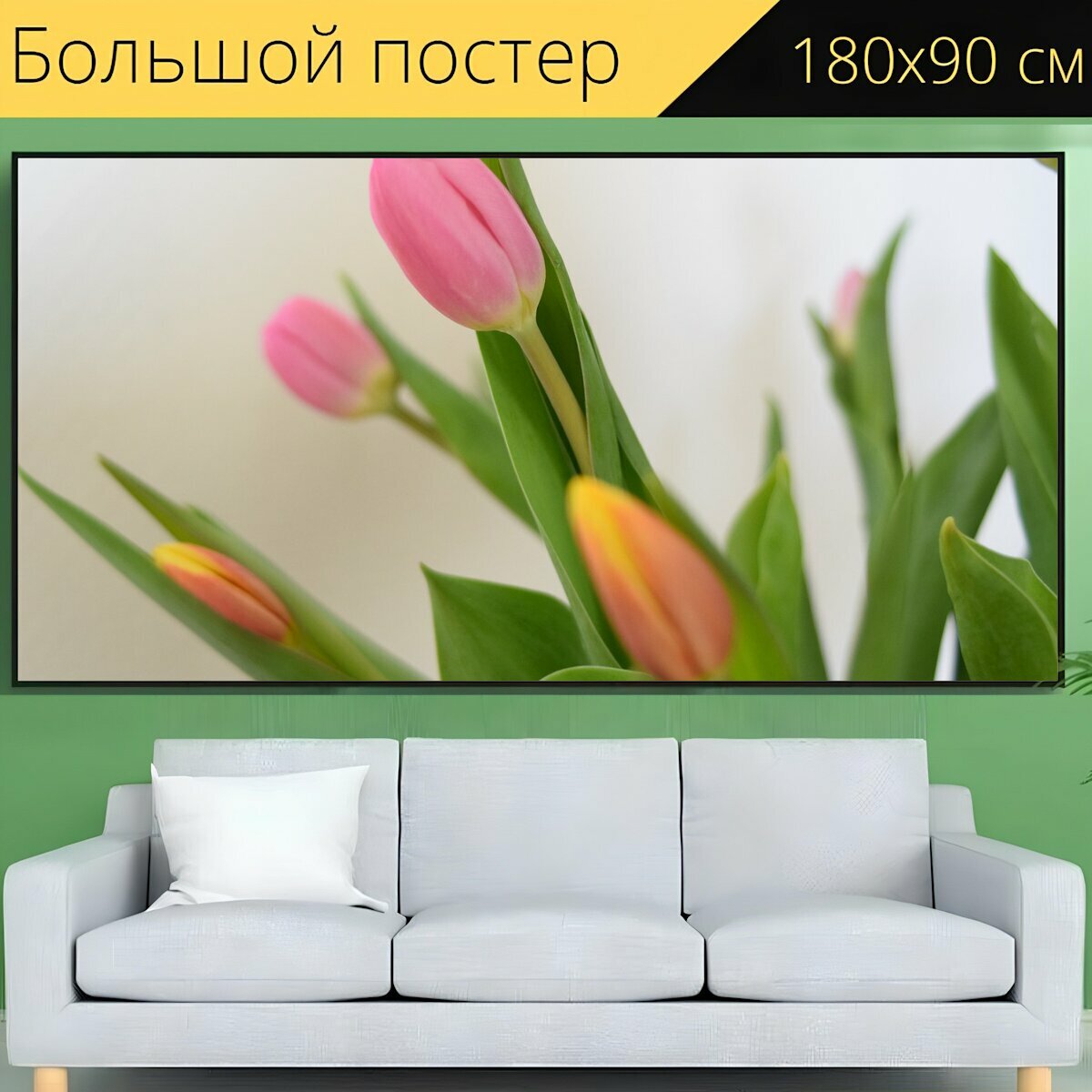 Большой постер "Тюльпаны, цветок, срезанные цветы" 180 x 90 см. для интерьера