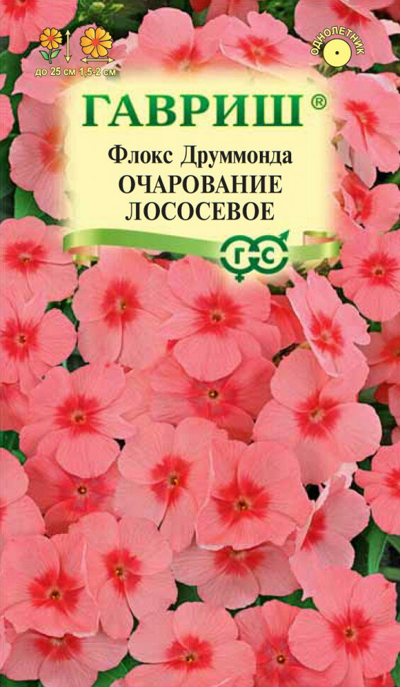 Семена Флокс друммонда Очарование лососевое 005г Гавриш Цветочная коллекция 10 пакетиков