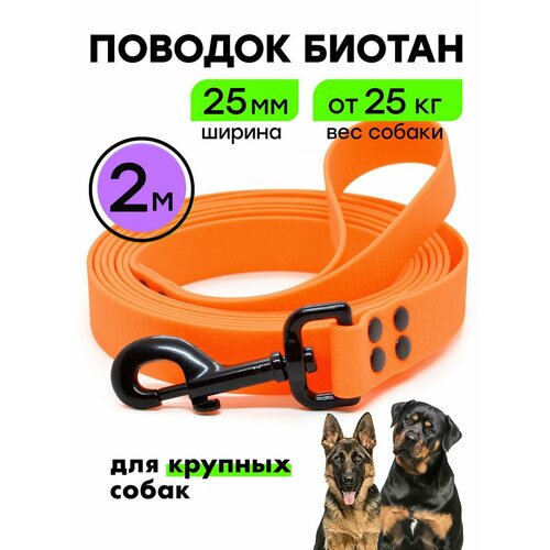 Биотановый поводок 2 м / 25 мм для больших собак