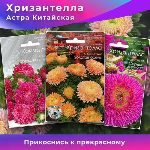 Набор семян 3 штуки Астра Китайская Хризантелла биотехника Сбежавшая невеста , Золотая осень, Сердце Дракона Набор №39 семена астра китайская ангора биотехника