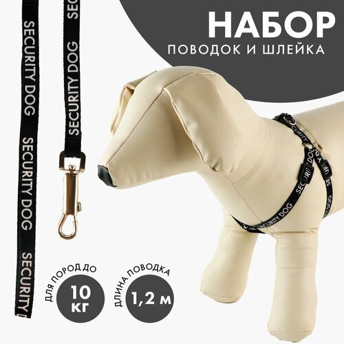 Комплект Security dog, шлейка 26-39 см, поводок 120х1 см