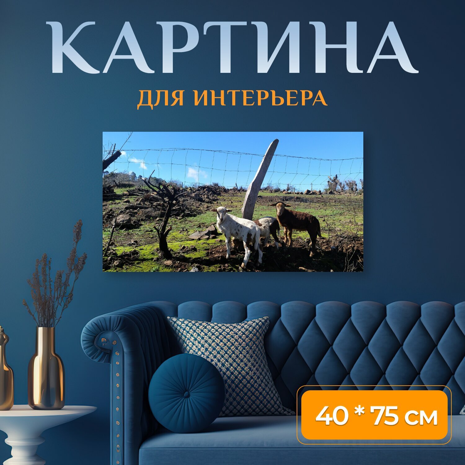 Картина на холсте "Овец, трава, изгородь" на подрамнике 75х40 см. для интерьера