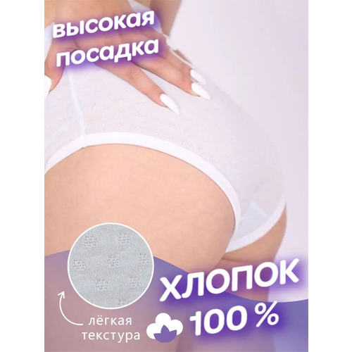 фото Трусы чебоксарский трикотаж, размер 6xl, белый