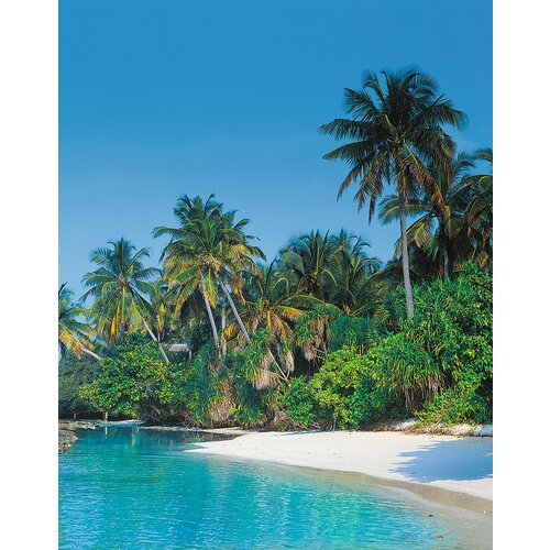 Фотообои бумажные глянцевые Багамы 200*260 (8 листов)
