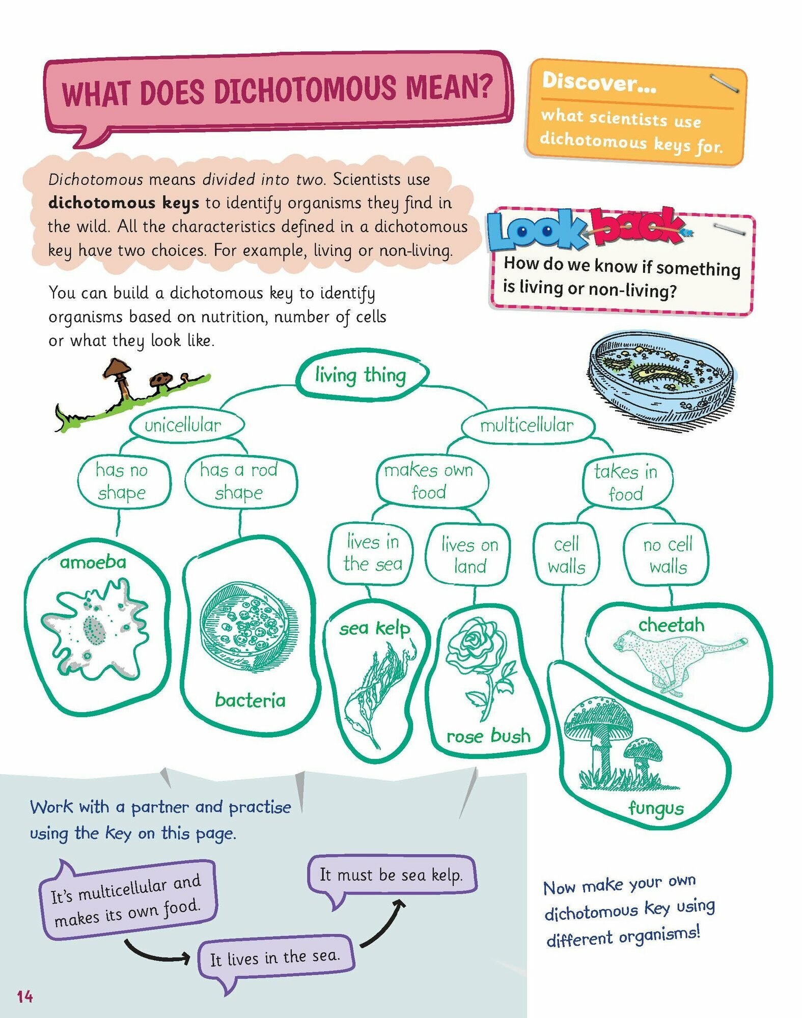 Science Skills. Level 5. Pupil's Book - фото №8
