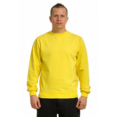Свитшот Магазин Толстовок, размер M-48-Unisex-(Мужской), желтый