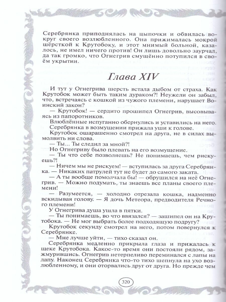 Книга Коты-воители. Стань диким! Огонь и лед - фото №15