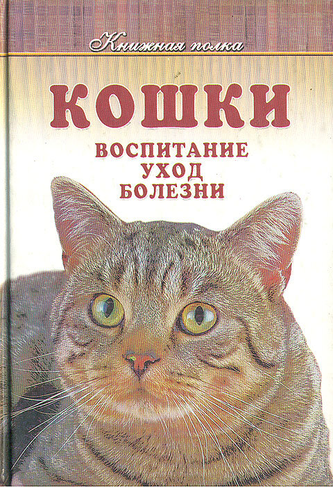 Кошки. Воспитание, уход, болезни