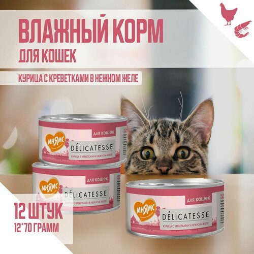 Влажный дополнительный корм Мнямс для кошек, Курица с креветками нежном желе, 70 г х 12шт