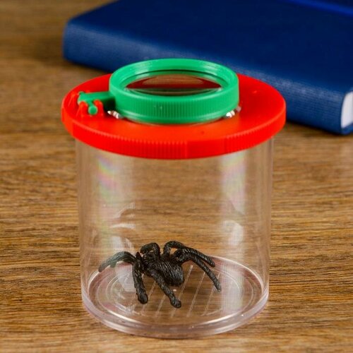 Набор Юный натуралист стакан лупа 2х цвета микс 434₽