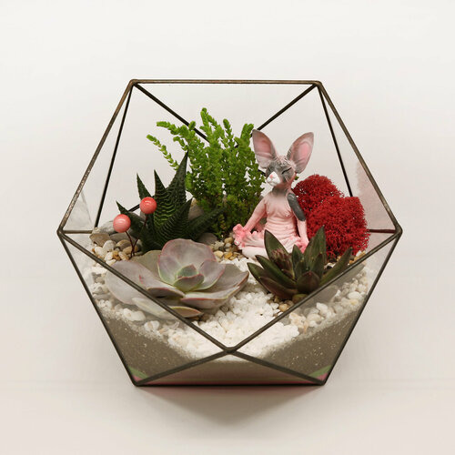 Флорариум с суккулентами 