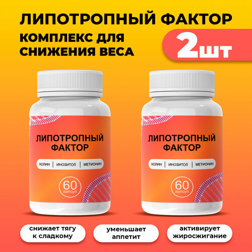 Жиросжигатель Липотропный фактор для похудения в капсулах, 2 шт