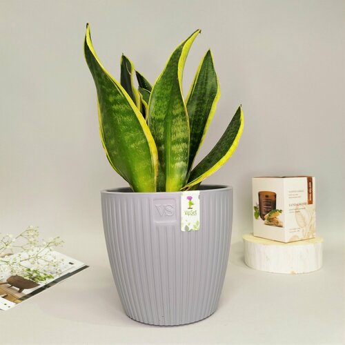 Горшок с вкладкой Эви VipSet 1,5л; 13 х 14 см, серый