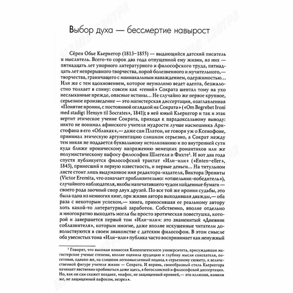 Или-или. Фрагмент из жизни (Кьеркегор Сёрен Обю, Исаева Наталья В. (переводчик), Исаев Сергей А. (переводчик)) - фото №7