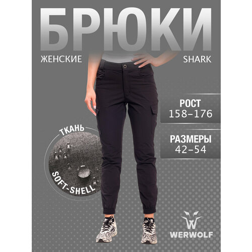 фото Брюки карго werwolf весна-лето 2025, размер 50/158-164, черный black