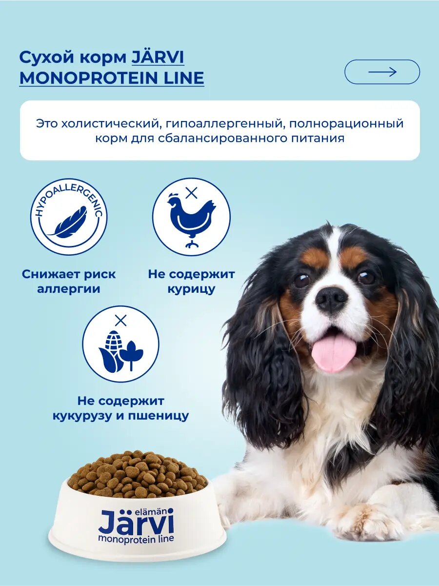 Картинки Сухой корм Jarvi монопротеиновый полнорационный для взрослых собак мелких пород, Говядина 1,5 кг