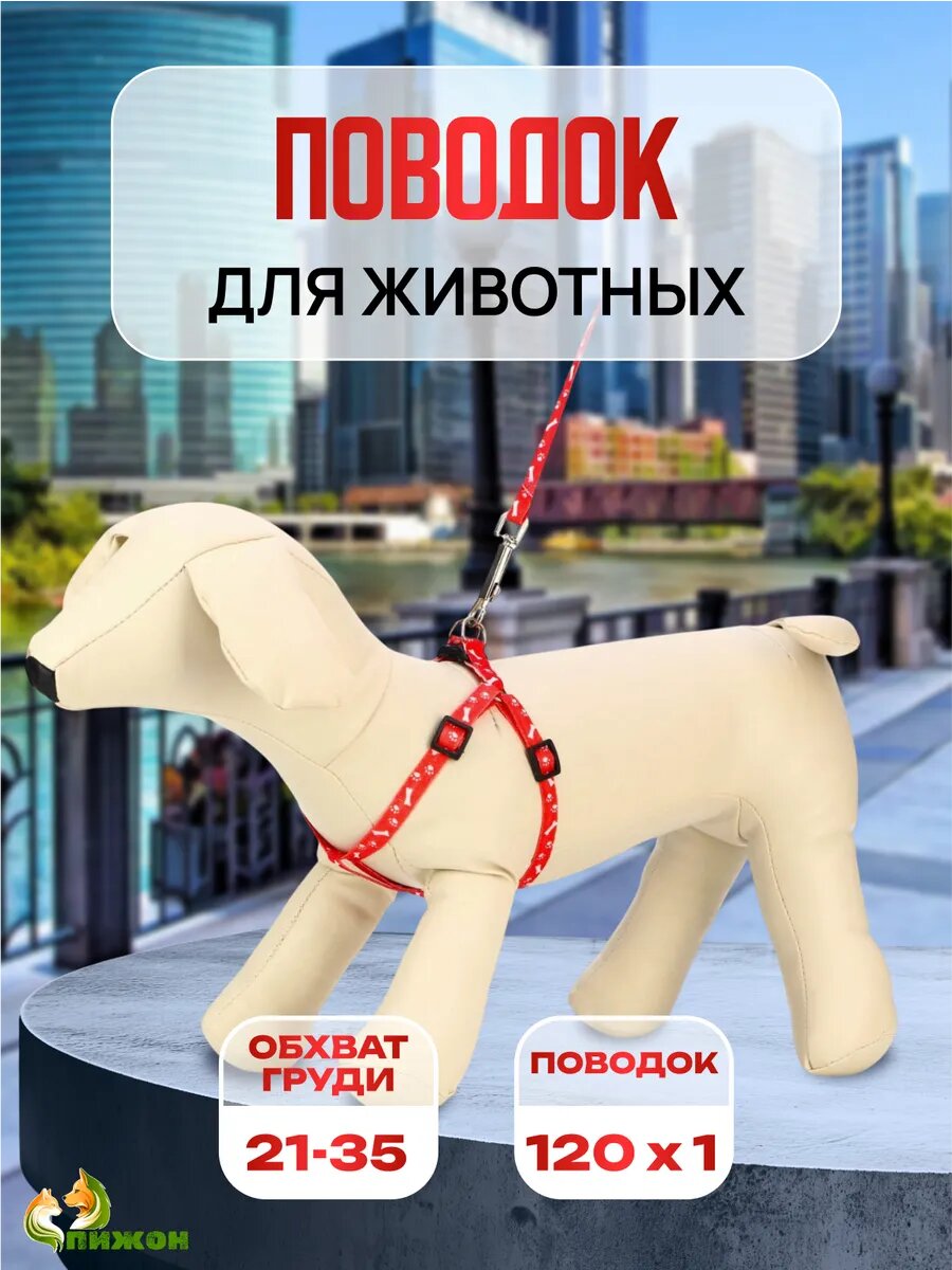 Комплект "Классика", капрон, поводок 120 х 1 см, ОГ 21-35 см, красный