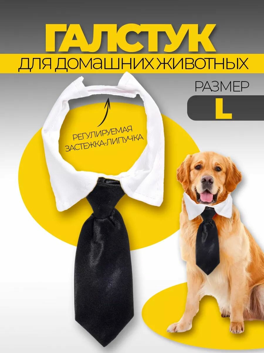 Ошейник с галстуком для животных