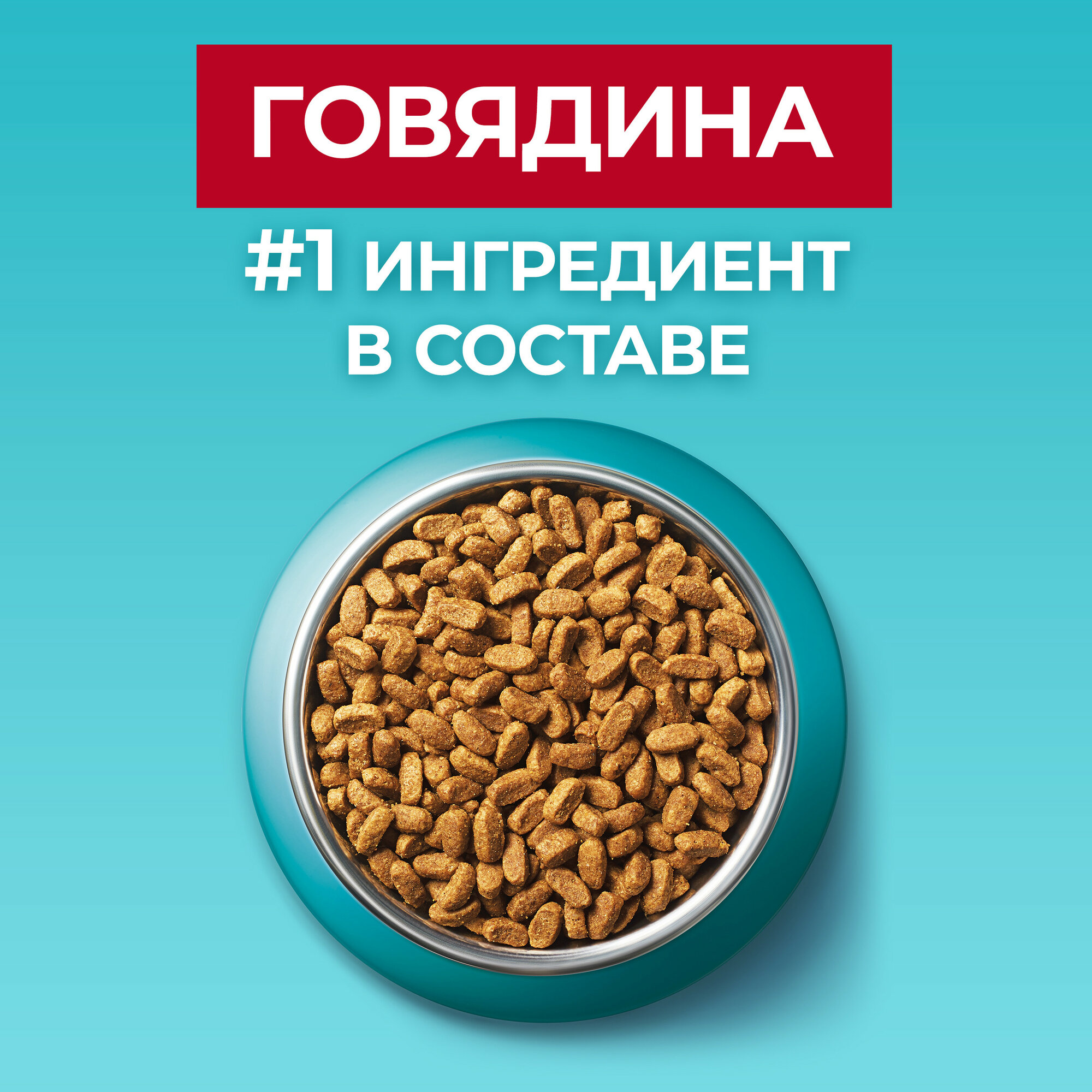 Сухой корм для стерилизованных кошек и кастрированных котов Purina ONE профилактика МКБ, избыточного веса, с говядиной и пшеницей 3 кг