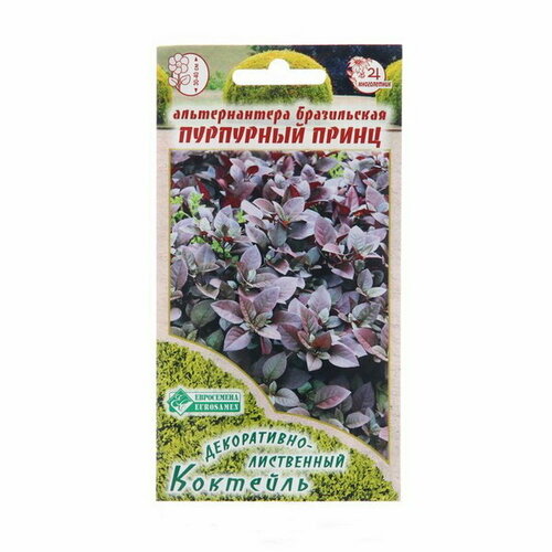Семена цветов Альтернантера бразильская Пурпурный Принц, 3 шт сирень принц волконский 2 шт зкс 4 х летние саженцы
