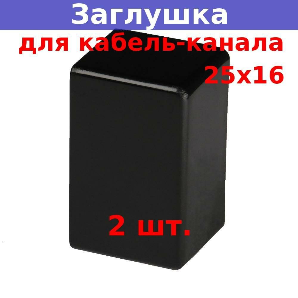 Заглушка 25х16 для кабель-канала, черная (2 шт.)