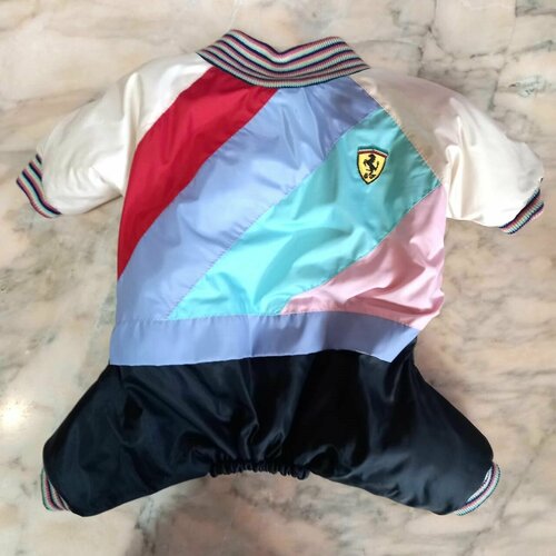 Демисезонный комбинезон 