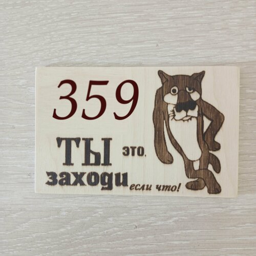 Номерок на дверь №359