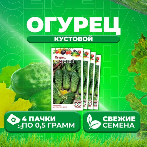 Огурец Кустовой, 0,5г, Гавриш, Овощная коллекция (4 уп)