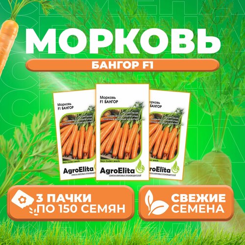 Морковь Бангор F1, 150шт, AgroElita, Bejo (3 уп)
