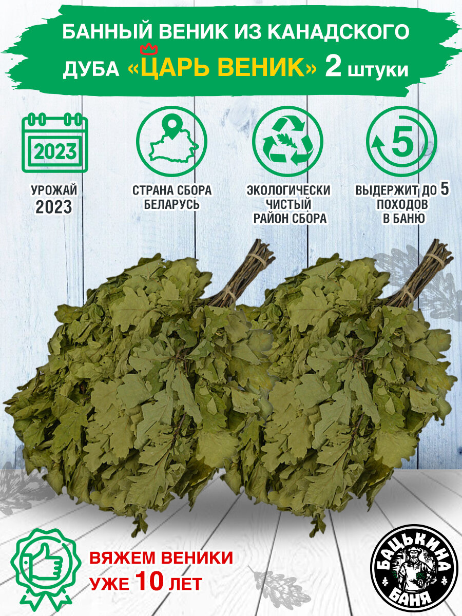 фото Набор веников для бани в подарок 2 шт, веник для бани канадский дуб. Все товары для бани сауны, банный набор для мужчин, женщин.