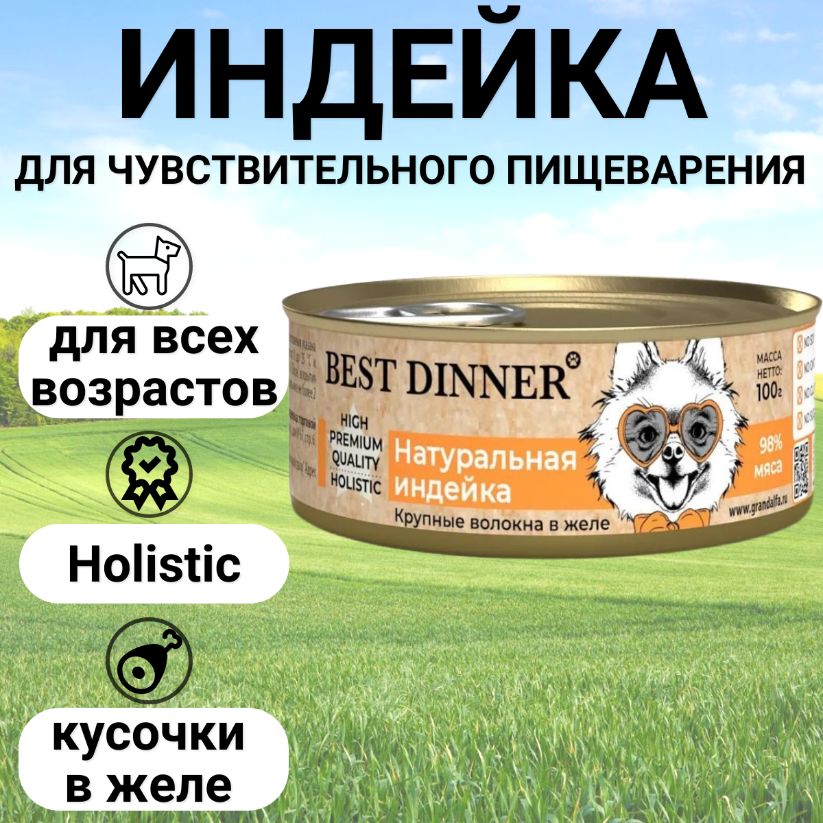 Консервы Best Dinner High Premium Holistic для взрослых собак и щенков всех пород. Натуральная индейка 100гр