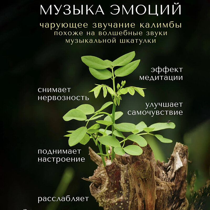 Калимба 17 нот Kalimba Народный музыкальный инструмент деревянный, Тональность до-мажор, универсальная для любого уровня подготовки — фото 1