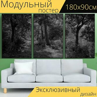 Характеристики модели Модульный постер "Лес, природа, в лесу" 180 x 90 ...